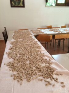 cavatelli