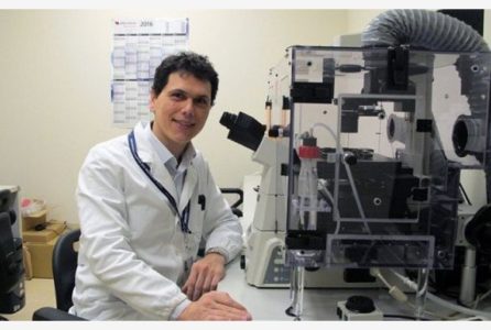 Successo italiano che vince l'Alzheimer: pubblicato su Nature Communications lo studio del Prof. Marcello D'Amelio del Campus bio-medico, CNR e ICCS